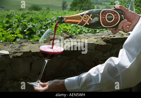 Sommelier, gießen ein Glas roter slowenischer Sekt im Restaurant Pri Slow, Zemono Burg in Ajdovscin, Brda, Slowenien Stockfoto