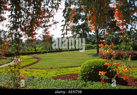 China Yunnan Jinghong tropische Pflanzen Forschungsinstitut Stockfoto