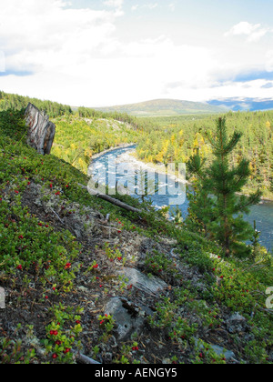 Das Drehen der Jahreszeiten Indian Summer, Jotunheimen, Norwegen Stockfoto