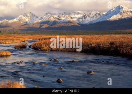fall colors of the Alaska range interior of Alaska Stockfoto