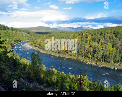 Fluss, der durch grüne Tal, Jotunheimen, Norwegen Stockfoto