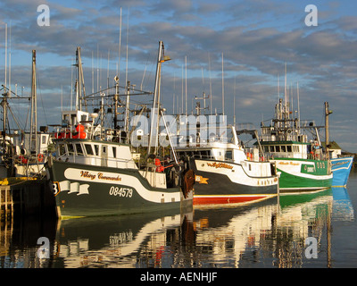 Angelboote/Fischerboote entladen Fisch am Kai in den Hafen von Twillingate, Neufundland, Atlantik-Kanada Stockfoto