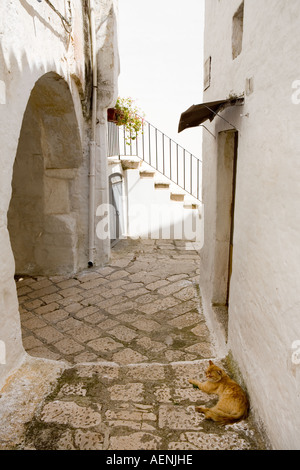Gasse in der antiken Stadt Ceglie Messapica, Apulien, Süditalien. Stockfoto