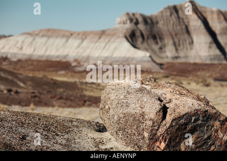 Große versteinerte Protokolldetails mit großen bemalten Berg in Ferne im Petrified Forest National Park, Holbrook (Arizona), United Stockfoto