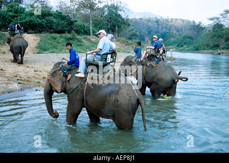 Touristen auf Elefanten reiten, in der Nähe von Mae Ping Fluss, Mae Ping Elephant Training Camp, Mae Ping, Chiang Mai, Thailand Stockfoto