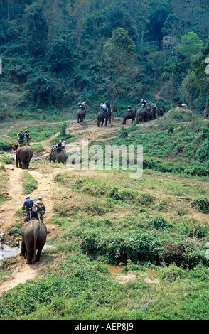 Reiten auf Elefanten, Mae Ping Elephant Training Camp, Mae Ping, Touristen in der Nähe von Chiang Mai, Thailand Stockfoto