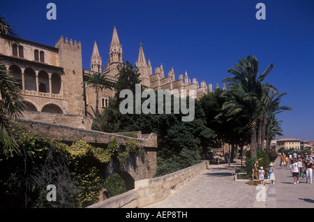 Almudaina Palance (LHS) + historische gotische Kathedrale über dem Parc De La Mar See, Palma De Mallorca, Balearen, Spanien. Stockfoto