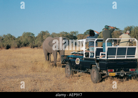 Offene Spitze Allradantrieb Toyota Landcruiser in der Nähe von Elefanten in der Nähe von Kwai Fluss in das Okavango Delta-Botswana Stockfoto