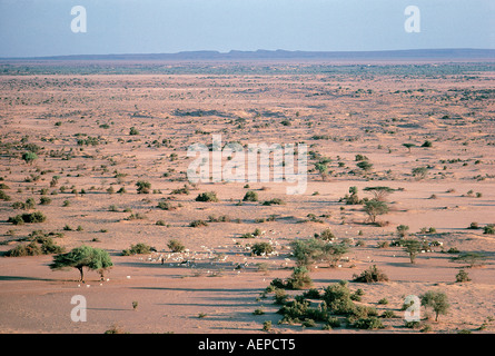 Gabbra Menschen ihre Ziegen weiden, im Halbfinale der Wüste unter Dabandabli Hügel in der Nähe von North Horr im nördlichen Kenia in Ostafrika Stockfoto