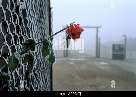 Auschwitz Birkenau Nazi Death Camp Private memorial Stockfoto