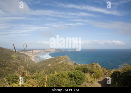 Cape Reinga Küstenweg auf Klippe in Te Paki Reserve Aupori Halbinsel Northland Nordinsel Neuseeland Stockfoto