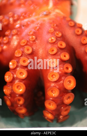 Oktopus auf dem Tsukiji Fish Market Tokyo Japan - ein Beispiel für die seltsamen oder seltsamen Speisen, die von Menschen auf der ganzen Welt gegessen werden Stockfoto