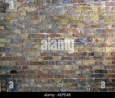 Ziegel-Wand-Hintergrund Stockfoto