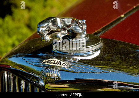 Jaguar-Emblem auf der Vorderseite des Oldtimer MK IV Stockfoto