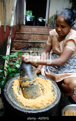 Goan Frau Schleifen Kokos und Chili für Curry mit extra groß massivem Granit Mörser und zerstoßen Lokal namens ROGARO. Stockfoto