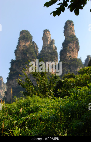 Kalkstein-Rock-Formation, Ernte zum ersten chinesischen National Park in Zhangjiajie und Wulingyuan Stockfoto