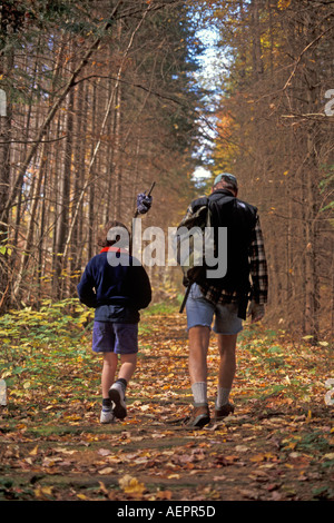 Wandern im Algonquin Provincial Park Stockfoto