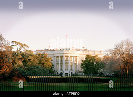 Das weiße Haus Washington DC im Morgengrauen Stockfoto