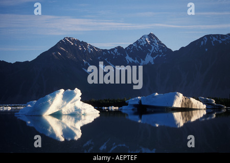 Gletscher im Glacier Bärensee in Kenai Fijords Nationalpark Yunan Alaska Stockfoto