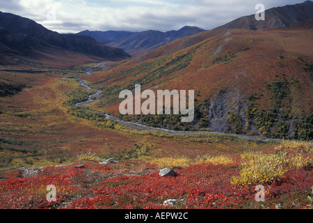 Herbstfarben Sie auf dem Dalton Highway schleppen-weg auf der Südseite der Brooks Range Arktis Alaska Stockfoto