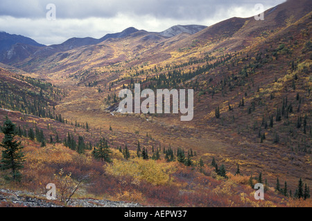 Herbstfarben der Tundra entlang der Denali Highway innen Alaska Stockfoto