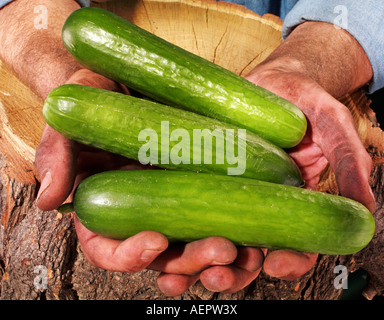 MAN HOLDING BABY GURKEN Stockfoto