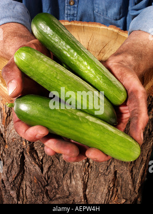 MAN HOLDING BABY GURKEN Stockfoto