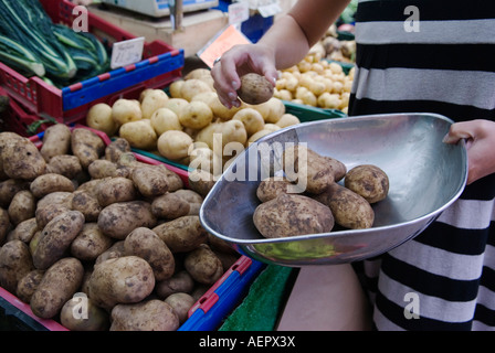 Frau wählt Gemüse Bauernmarkt "Queens Park" North London Uk HOMER SYKES Stockfoto