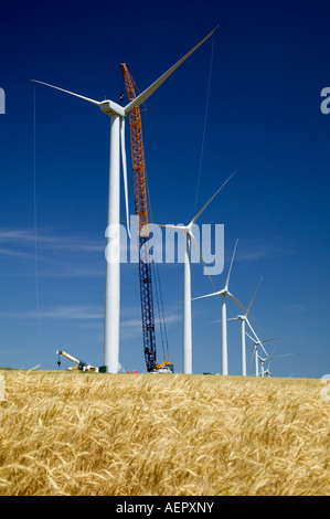 Installation von Windkraftanlagen Kran Reifen Weizenfeld, Oregon Stockfoto