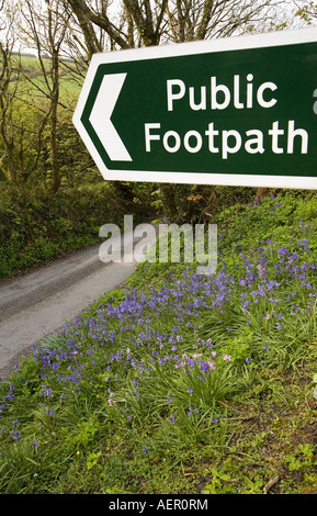 UK Cornwall Boscastle Lesnewth öffentlichen Fußweg Schild über Glockenblumen Hyacinthoida non scripta Stockfoto