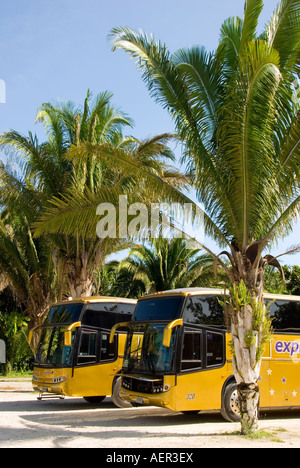 Costa Maya Chacchoben archäologische Stätte moderner Tour bus-Mexiko Stockfoto