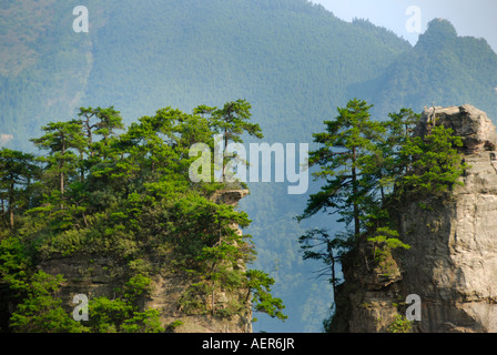 Kalkstein-Rock-Formation, Ernte zum ersten chinesischen National Park in Zhangjiajie und Wulingyuan Stockfoto