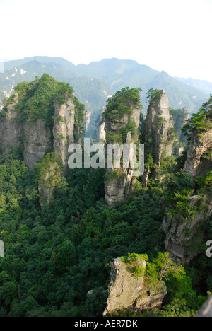 Kalkstein-Rock-Formation, Ernte zum ersten chinesischen National Park in Zhangjiajie und Wulingyuan Stockfoto