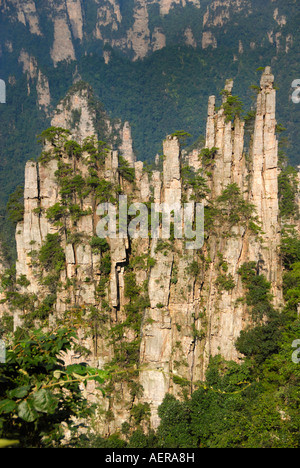 Kalkstein-Rock-Formation, Ernte zum ersten chinesischen National Park in Zhangjiajie und Wulingyuan Stockfoto