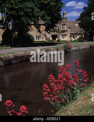 Blick auf malerische Lower Slaughter und Windrush Ufer des Flusses in den Cotswolds Gloucestershire. Stockfoto