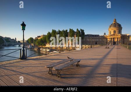 Taube auf der Pont des Arts über den Fluss Seine mit der Instituit de France rechts das Ile De La Cite linken Paris Frankreich Stockfoto
