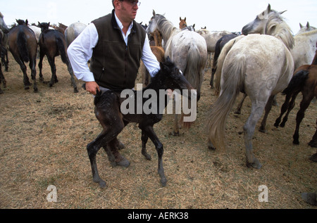 Das traditionelle Saca de Yeguas festival Stockfoto