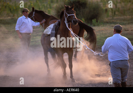 Das traditionelle Saca de Yeguas festival Stockfoto