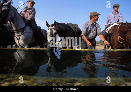 Das traditionelle Saca de Yeguas festival Stockfoto