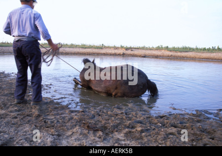 Das traditionelle Saca de Yeguas festival Stockfoto