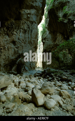 Sierra de Grazalema Naturschutzgebiet Garganta verde Stockfoto