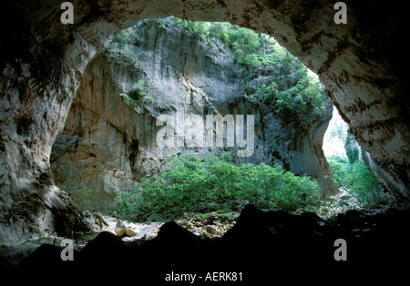 Sierra de Grazalema Naturschutzgebiet Garganta verde Stockfoto