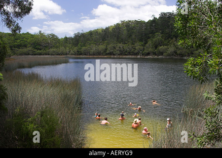 Schwimmer an Allom See Fraser Island-Queensland-Australien Stockfoto