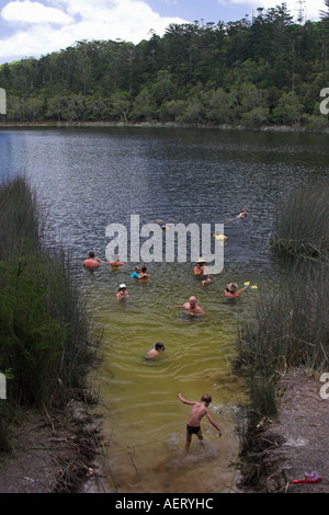 Schwimmer an Allom See Fraser Island-Queensland-Australien Stockfoto