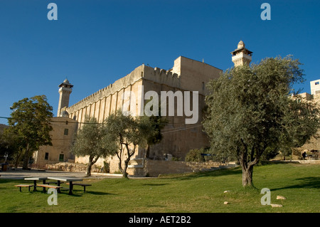 Israel hebron Höhle Machpela Grabstätte von Abraham, Sara, Isaak Jakob Rebecca und Lea Gesamtansicht mit Grün und Olivenbäumen Stockfoto