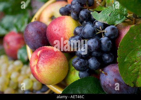 SAISONALE STILLLEBEN MIT EINEM SORTIMENT VON HERBSTLICHEN FRÜCHTEN Stockfoto