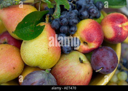 SAISONALE STILLLEBEN MIT EINEM SORTIMENT VON HERBSTLICHEN FRÜCHTEN Stockfoto