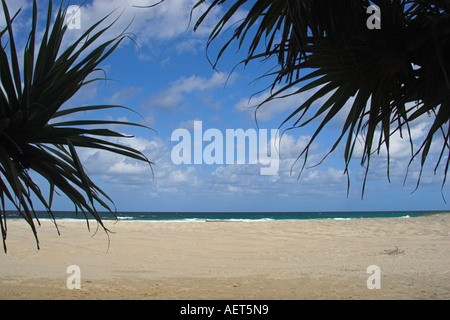 Wyuna Creek Fraser Island-Queensland-Australien Stockfoto