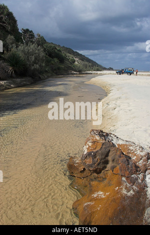 Wyuna Creek Fraser Island-Queensland-Australien Stockfoto