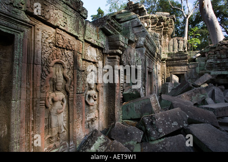 Baumwurzeln wachsen durch die Ruinen der Ta Prohm Tempel in der Nähe von Angkor Wat in Kambodscha Stockfoto